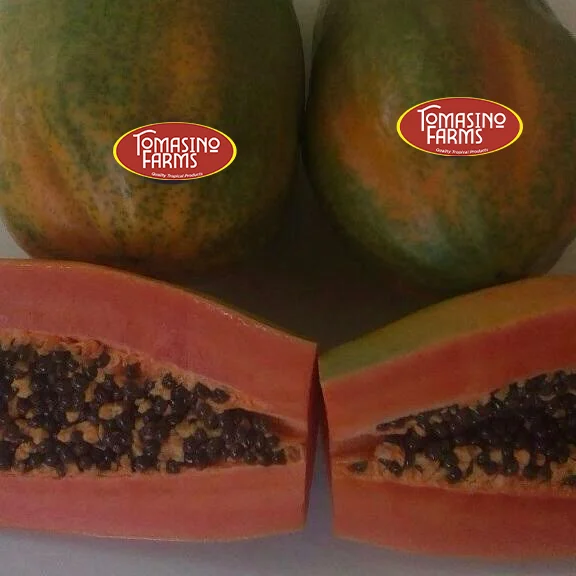 Papaya