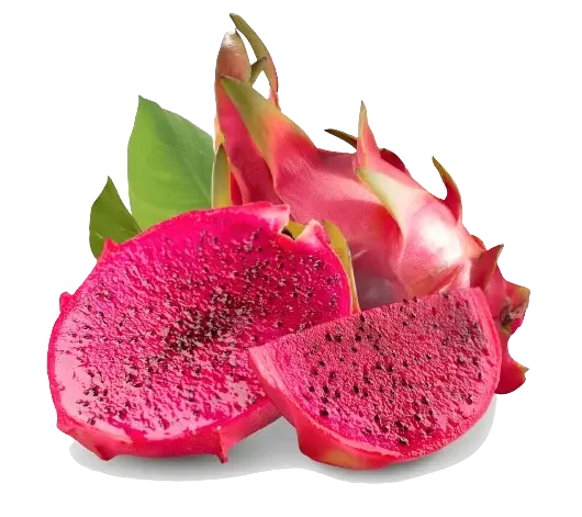 Red Dragon Fruit Ecuador