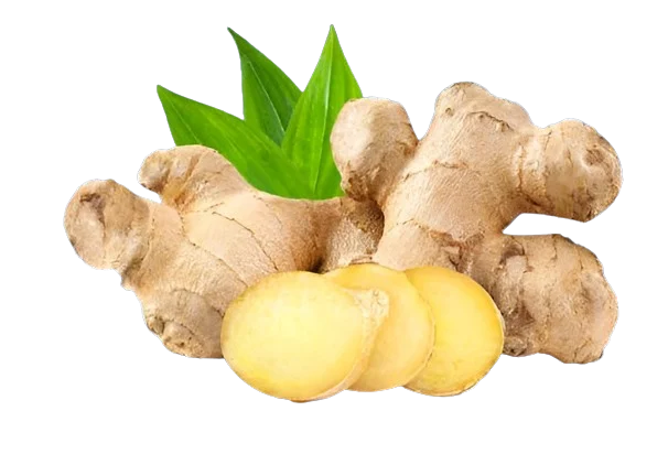 Fresh Organic Ginger Peru
