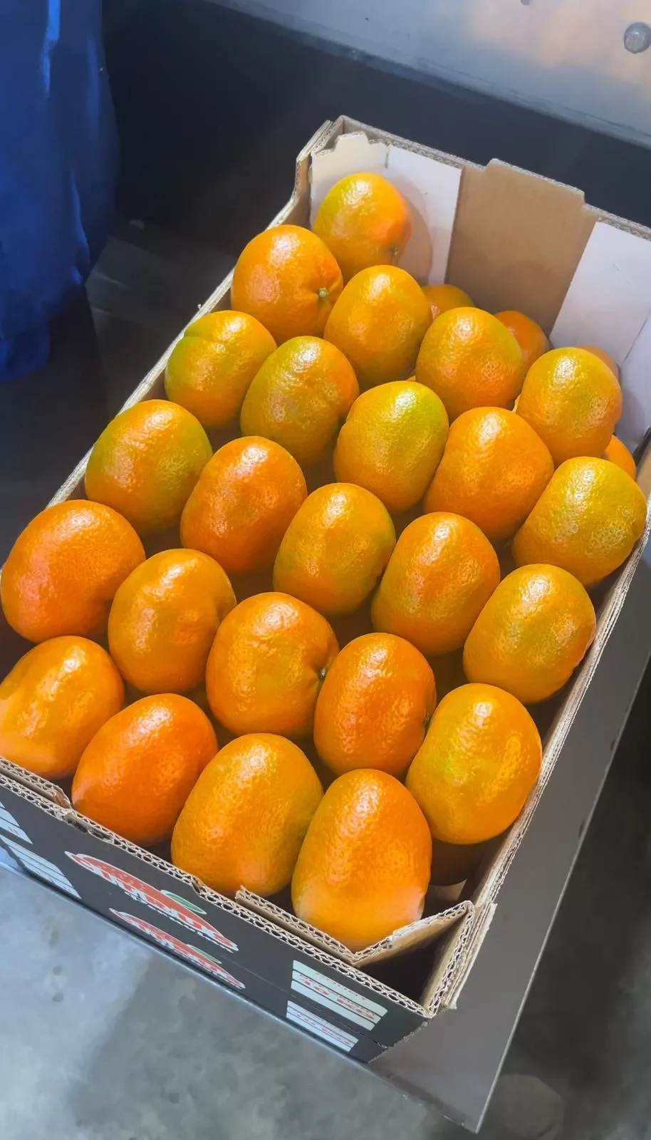 Mandarina W. Murcott Peru