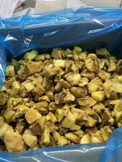 IQF Frozen Mushroom with Stem Chile