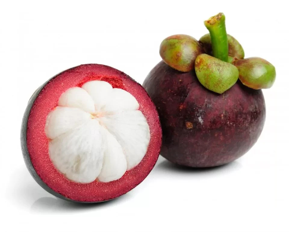 Mangosteen Guatemala