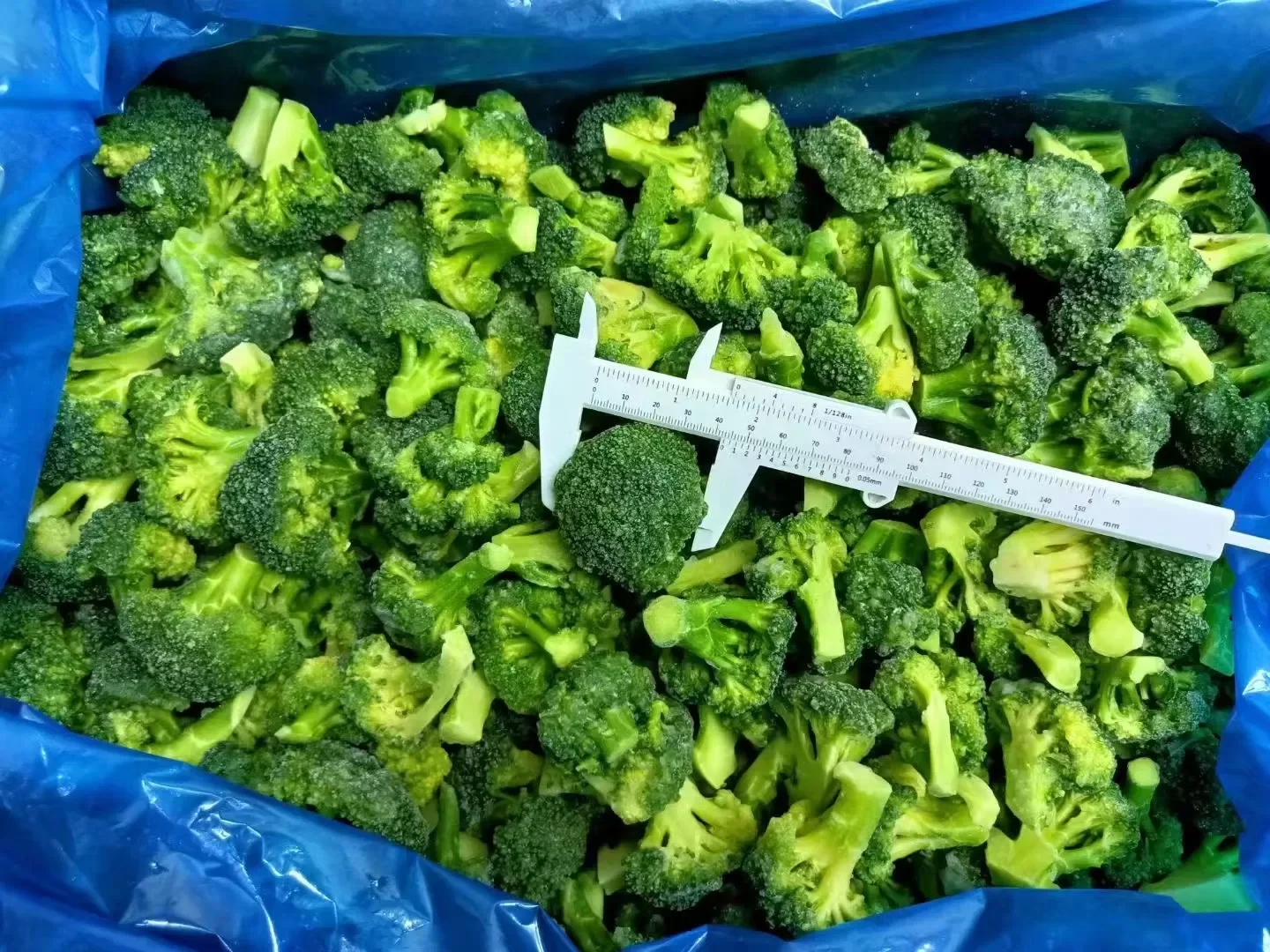 Broccoli Egypt
