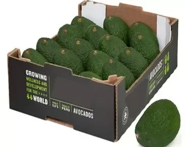 PALTA HASS