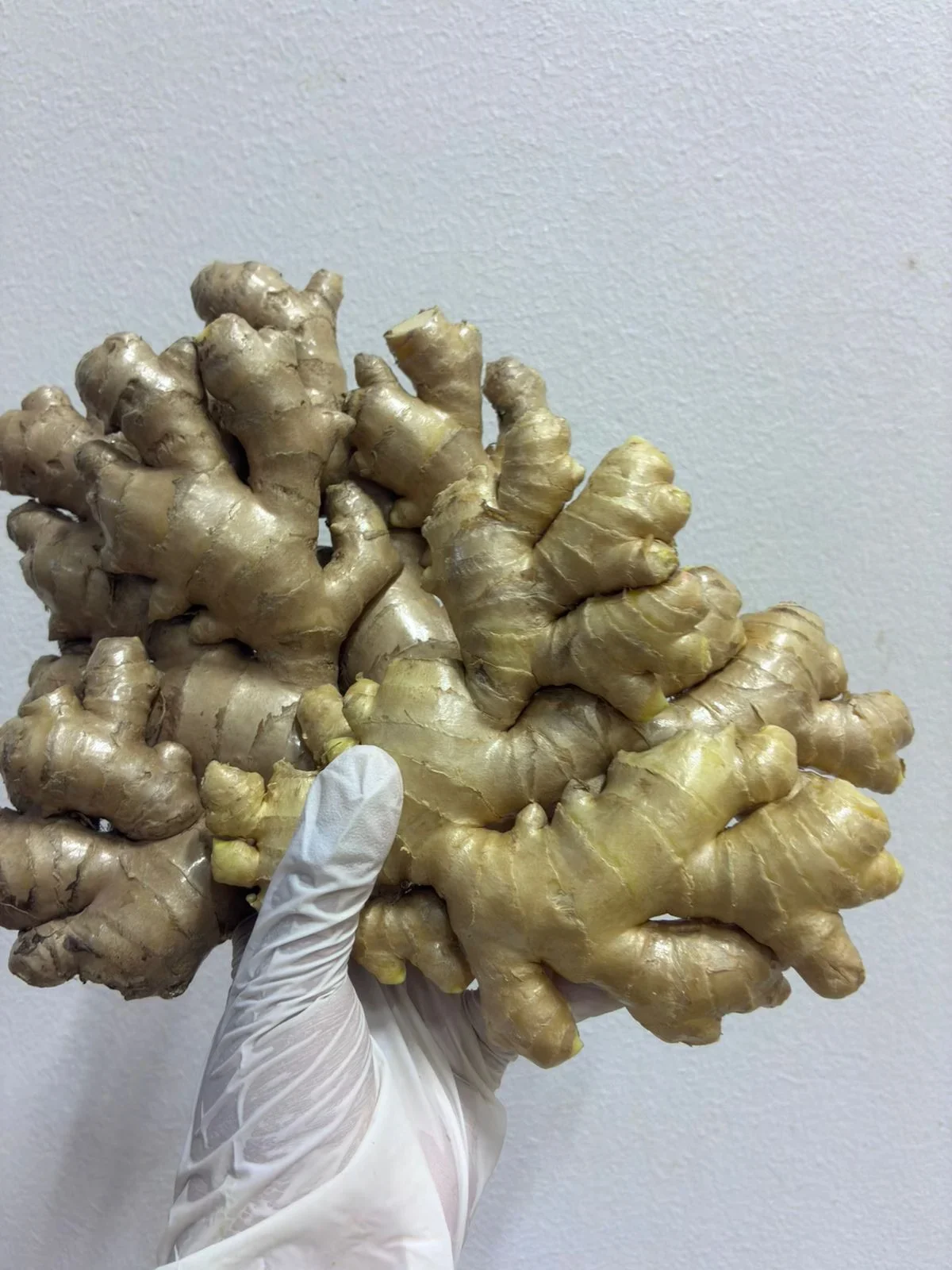 Organic Fresh Ginger Peru